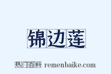 锦边莲是什么意思的图片